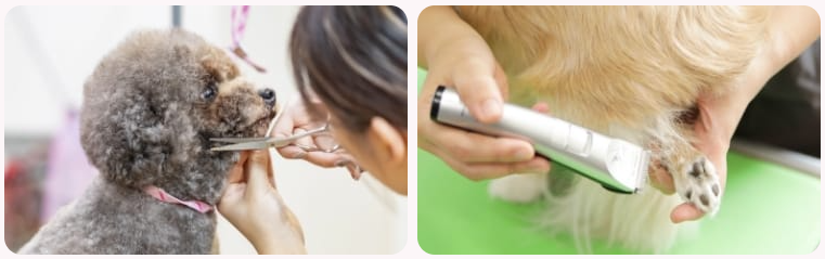 トリミングサービス