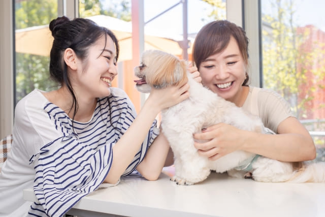 ペットショップのバイトの魅力